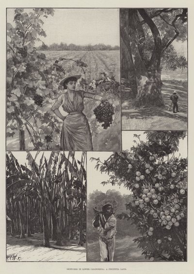 Sketches in Lower California, a Fruitful Land by Richard Caton Woodville junior